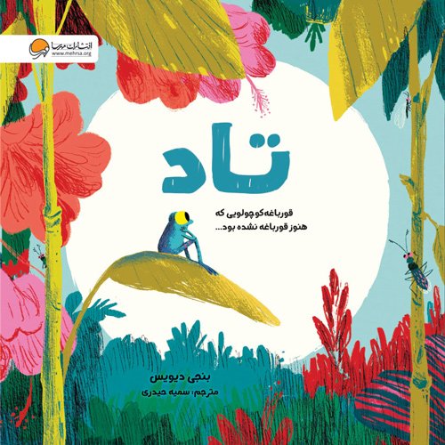 چطور می توانم رویاهایم را بسازم؟