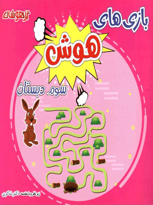 بازی های هوش سوم دبستان شاکری