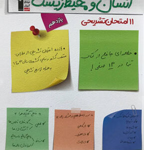 11 امتحان تشریحی انسان و محیط زیست قلم چی