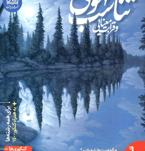 تناسب مفهومی و قرابت معنایی دریافت هامون سبطی