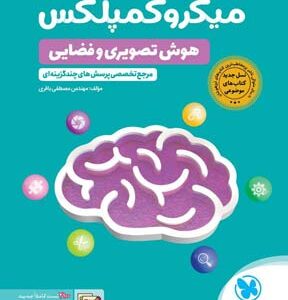 میکرو کمپلکس هوش تصویری و فضایی مهروماه