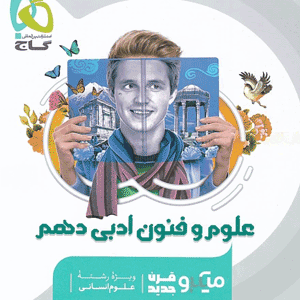 علوم و فنون ادبی دهم میکرو گاج