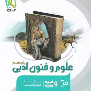 علوم و فنون ادبی یازدهم میکرو گاج