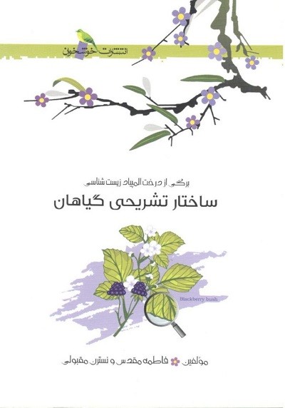ساختار تشریحی گیاهان خوشخوان 1 ساختار تشریحی گیاهان خوشخوان