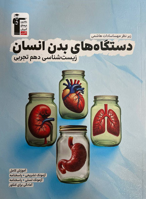 دستگاه-های-بدن-انسان-قلم-چی دستگاه های بدن انسان قلم چی