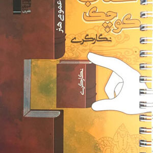 کتاب کوچک درک عمومی هنر قلم چی نگارگری